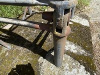 IMG_8808.jpeg