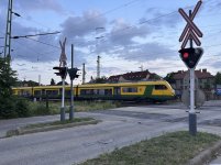 IMG_7348.jpeg