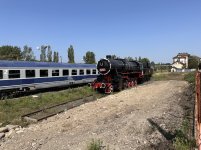 IMG_7328.jpeg