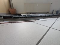 PXL_20250416_171301617.jpg PXL_20250416_171301617.jpg