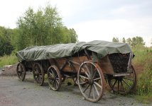 IMG_3587.jpg