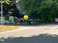 IMG_5209.jpeg