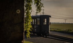 IMG_3480.jpg