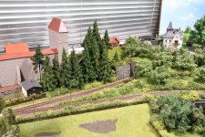 9854.jpg