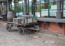 IMG_3849.jpg
