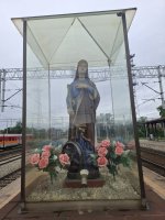 1000049050.jpg