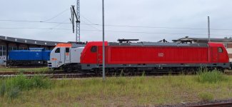 20250717_094642.jpg