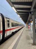 IMG_2264.jpeg