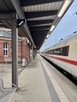 IMG_2265.jpeg