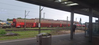 20250722_170237.jpg