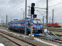 IMG_4146.jpeg