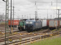 DSCI2976.JPG