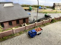 IMG_7116.jpeg