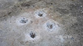 Fundamente.jpg