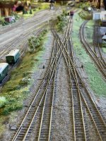 IMG_1676.jpeg
