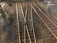IMG_5978.jpeg
