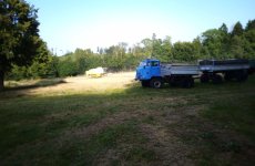 Benni_20250815.jpg