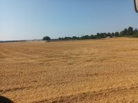 20250814_093243.jpg