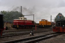 DSC08496.jpg