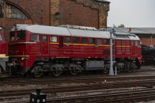 DSC08537.jpg