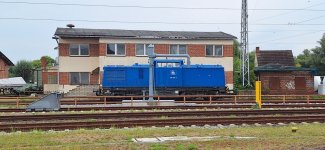 20250828_100739.jpg