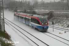 Winter 2010.1.jpg