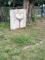 IMG_5408.jpeg