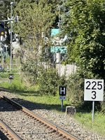 IMG_5379.jpeg