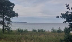 20250913_163702.jpg