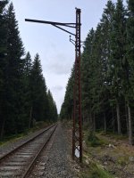 20250910_131011.jpg