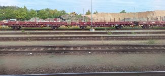 20250919_095329.jpg