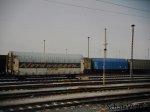 _C150080a.JPG