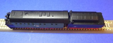 TTKoch00604-4.JPG