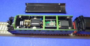 TTKoch00604-5.JPG