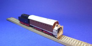 TTKoch00606-1.JPG