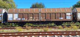 20250925_115230.jpg