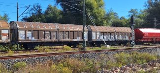 20250925_115259.jpg
