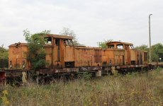IMG_5693.jpg