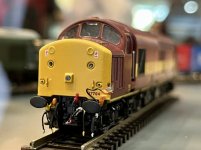IMG_7055.jpeg