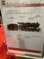 IMG_6878.jpeg