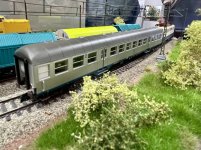 IMG_7093.jpeg