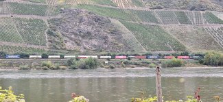 20251003_131052.jpg