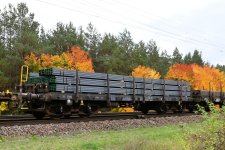 Rmms 31 80 3962 455-2 Rbf Berlin-Wuhlheide.jpg