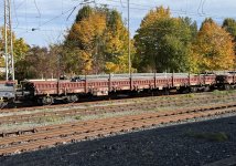 IMG_2394.jpeg