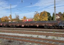 IMG_2392.jpeg