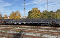 IMG_2390.jpeg
