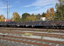 IMG_2388.jpeg