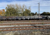 IMG_2389.jpeg