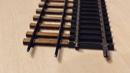 IMG_8191.jpeg