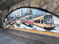 IMG_4950.jpeg